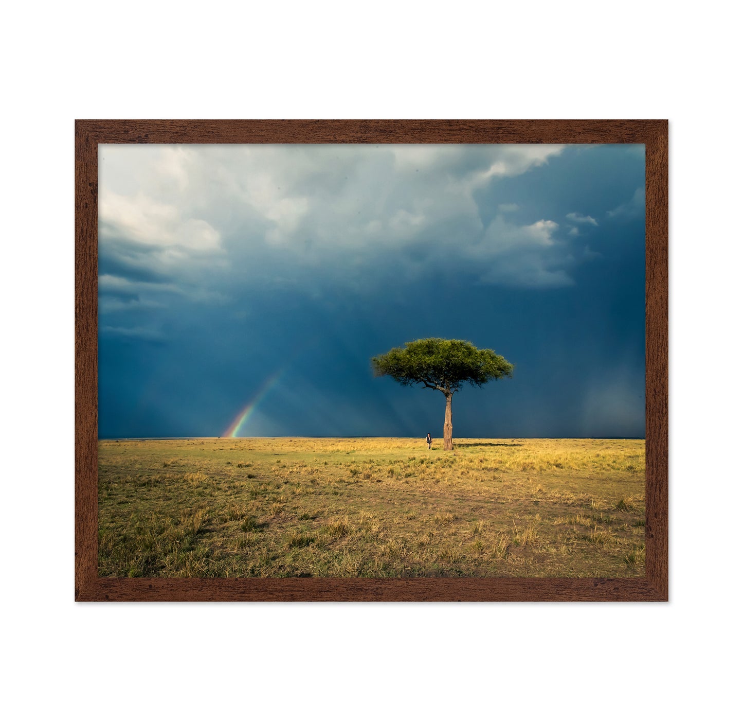 Ishara's Lone Tree