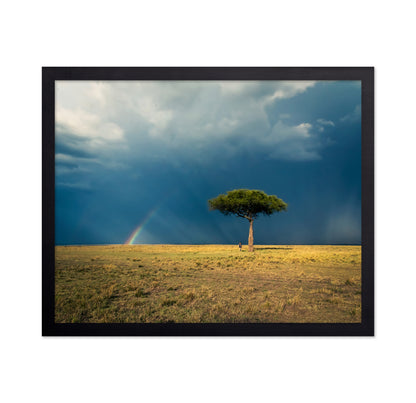 Ishara's Lone Tree