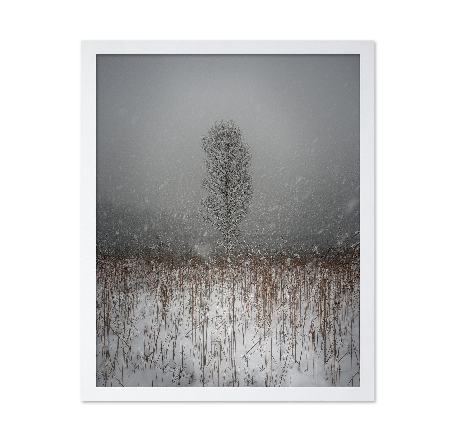 In The Fairytale Land