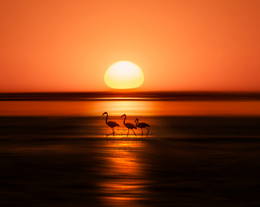 Sunset in Walvis bay