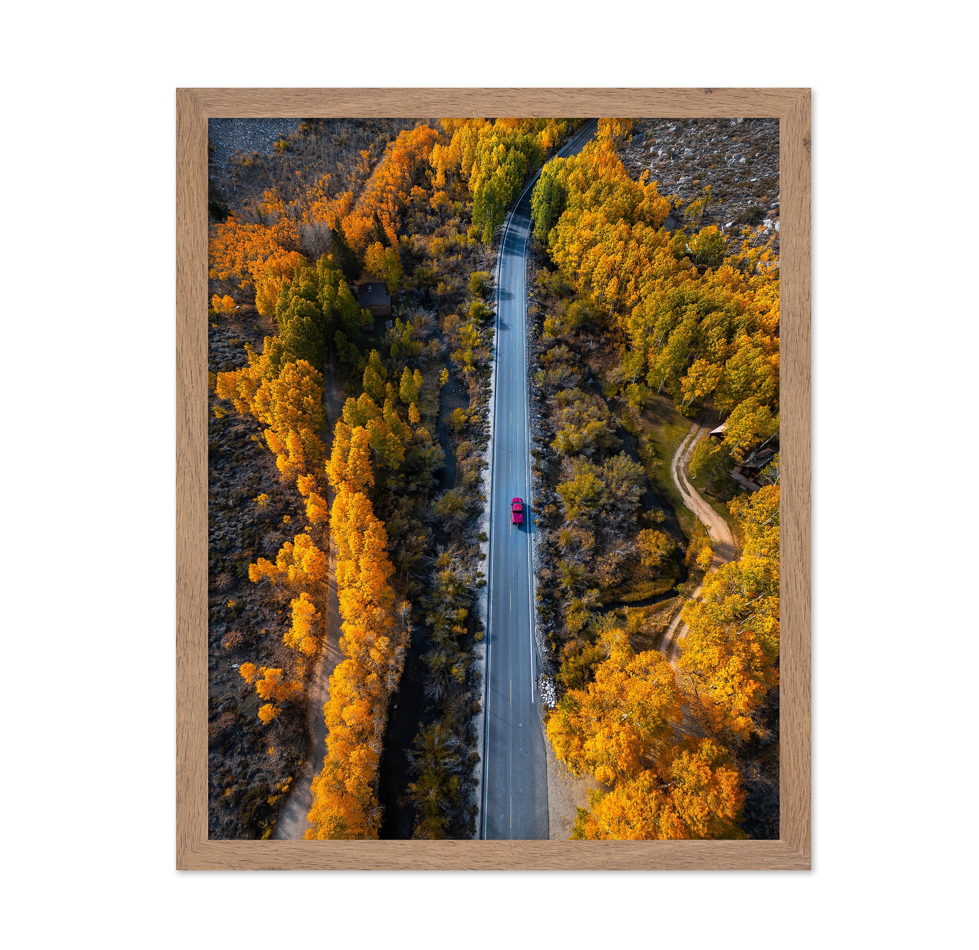Into The Autumn