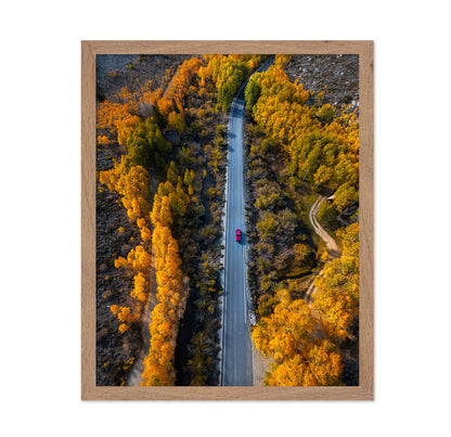 Into The Autumn