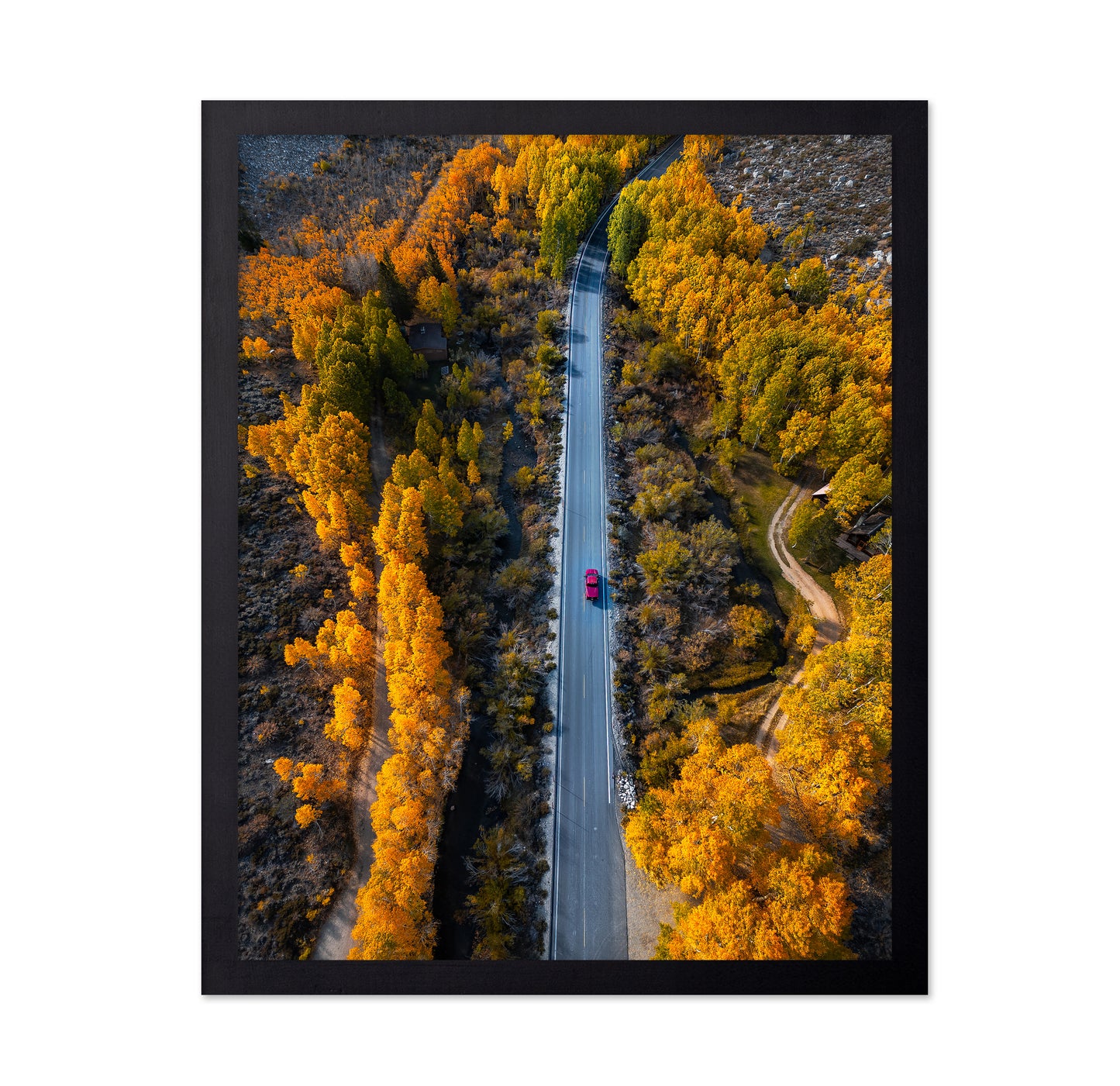 Into The Autumn
