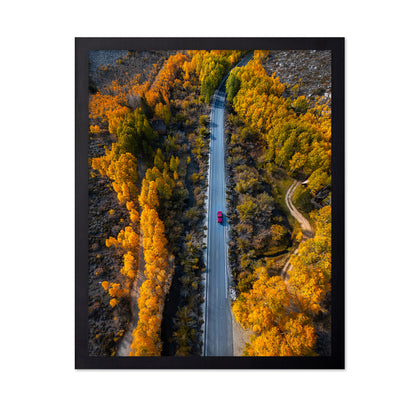 Into The Autumn