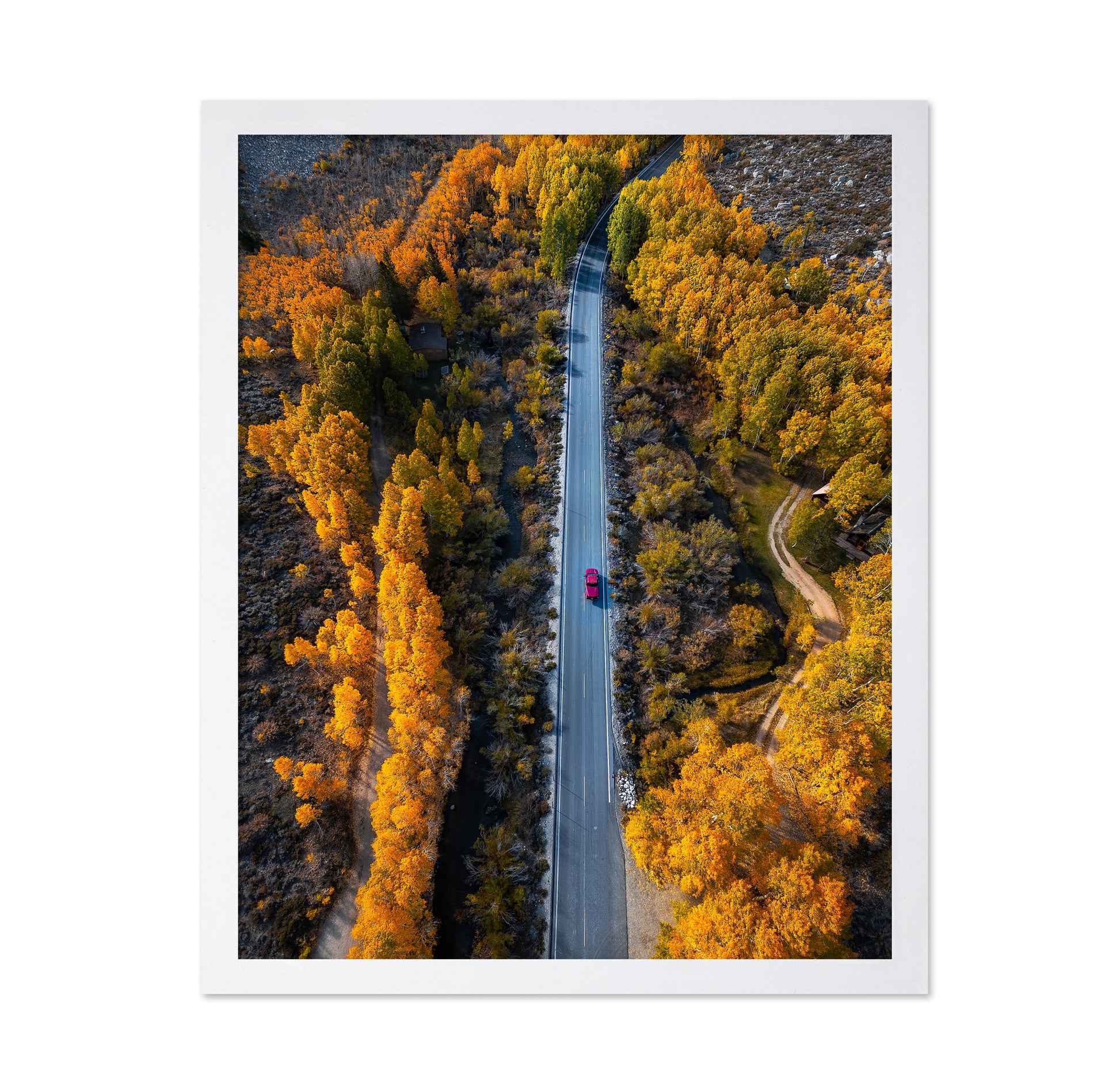 Into The Autumn