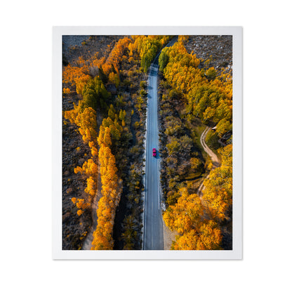 Into The Autumn