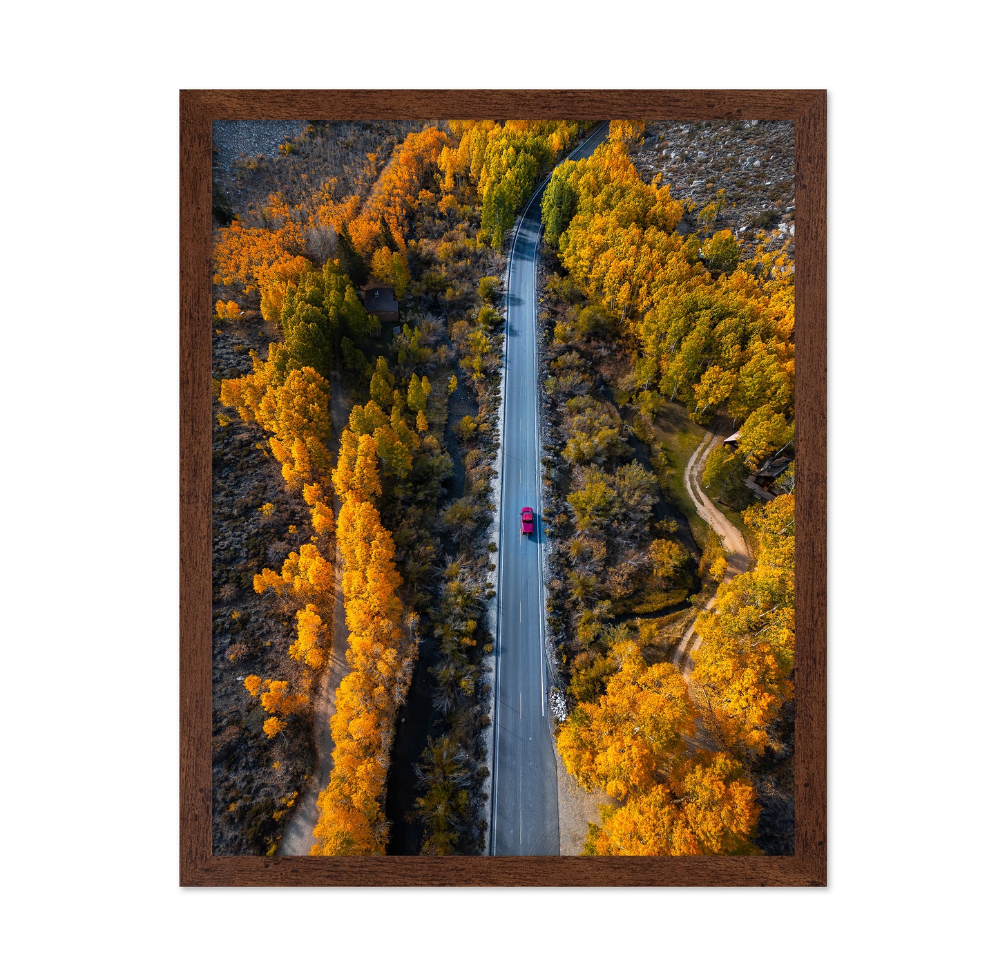 Into The Autumn