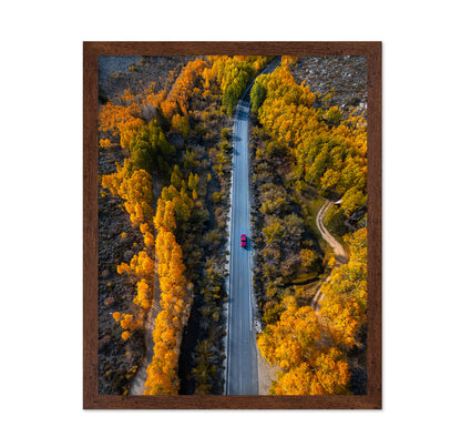 Into The Autumn