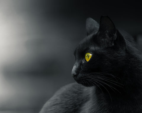 Mysterious Observer