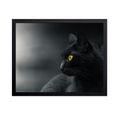 Mysterious Observer