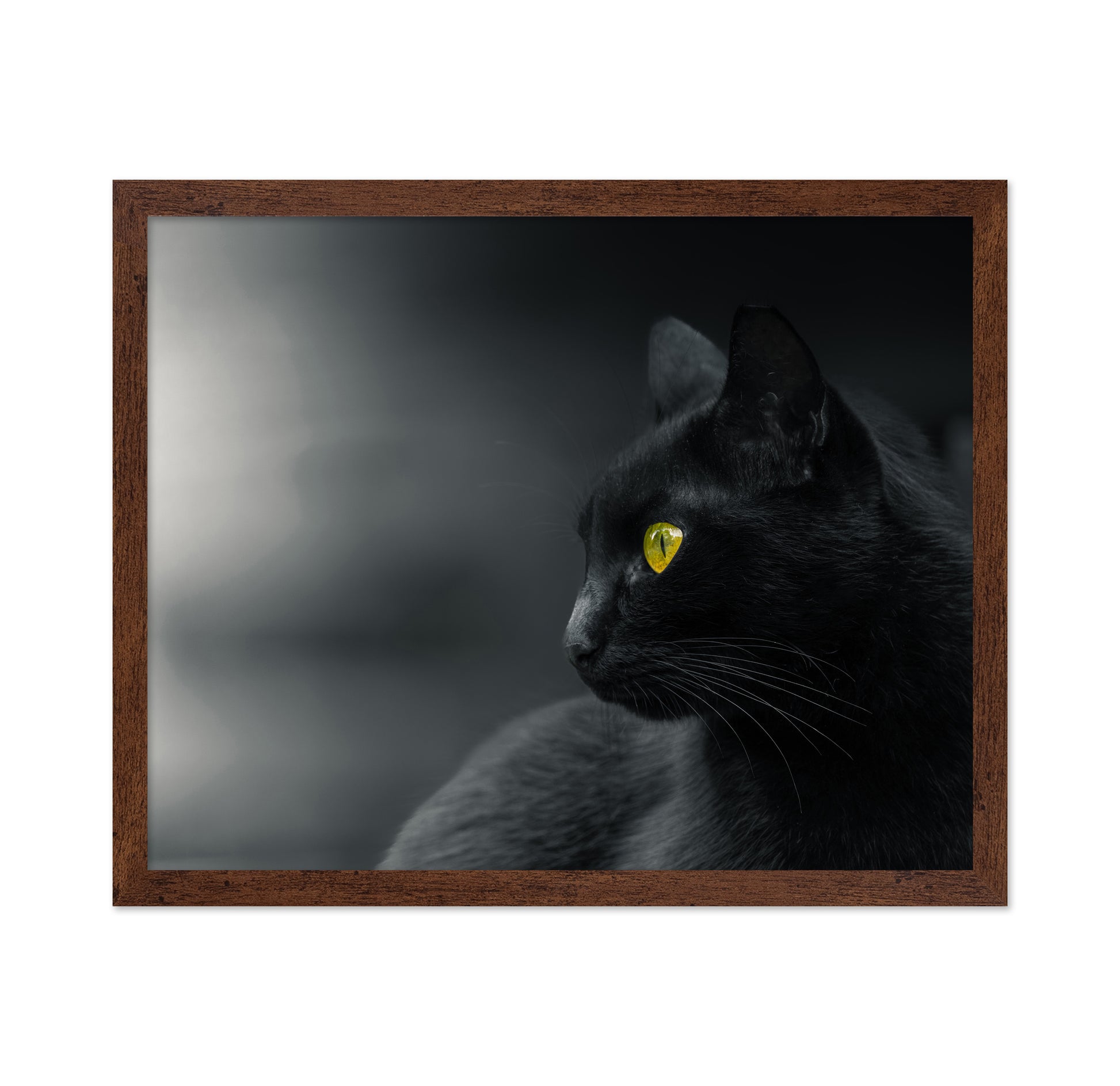 Mysterious Observer