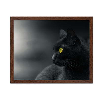 Mysterious Observer