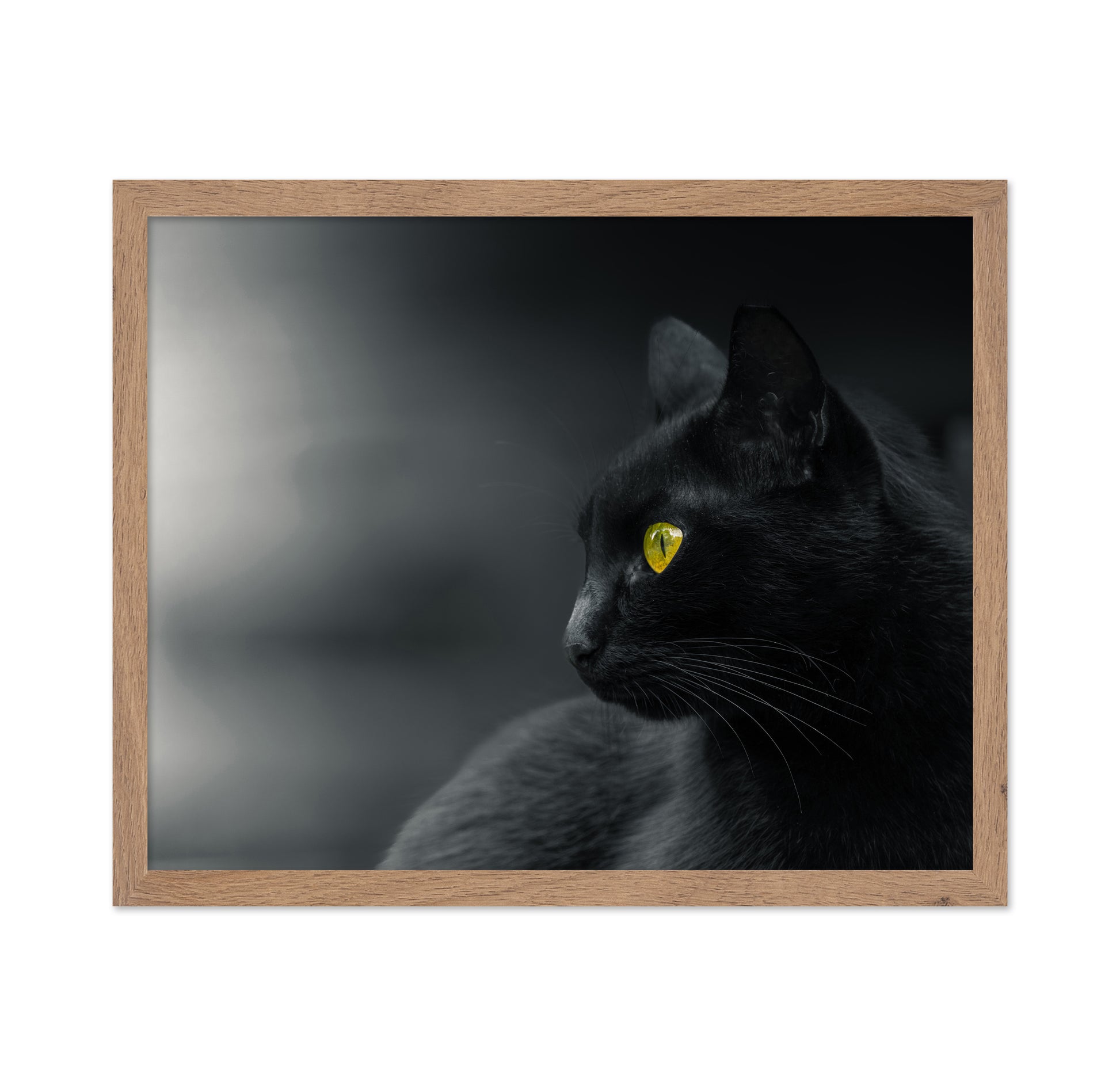 Mysterious Observer