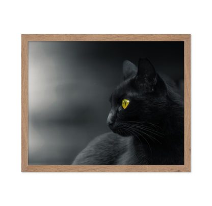 Mysterious Observer