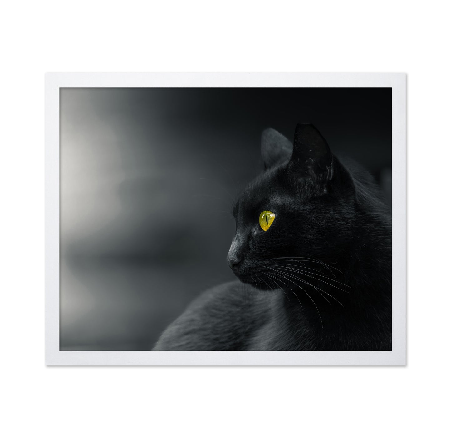 Mysterious Observer