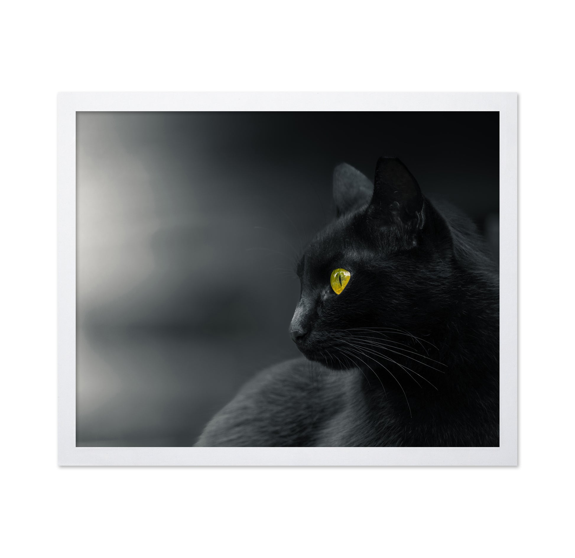 Mysterious Observer