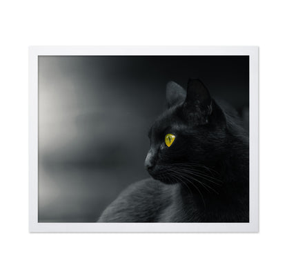 Mysterious Observer