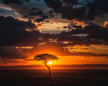 Perfect sunset