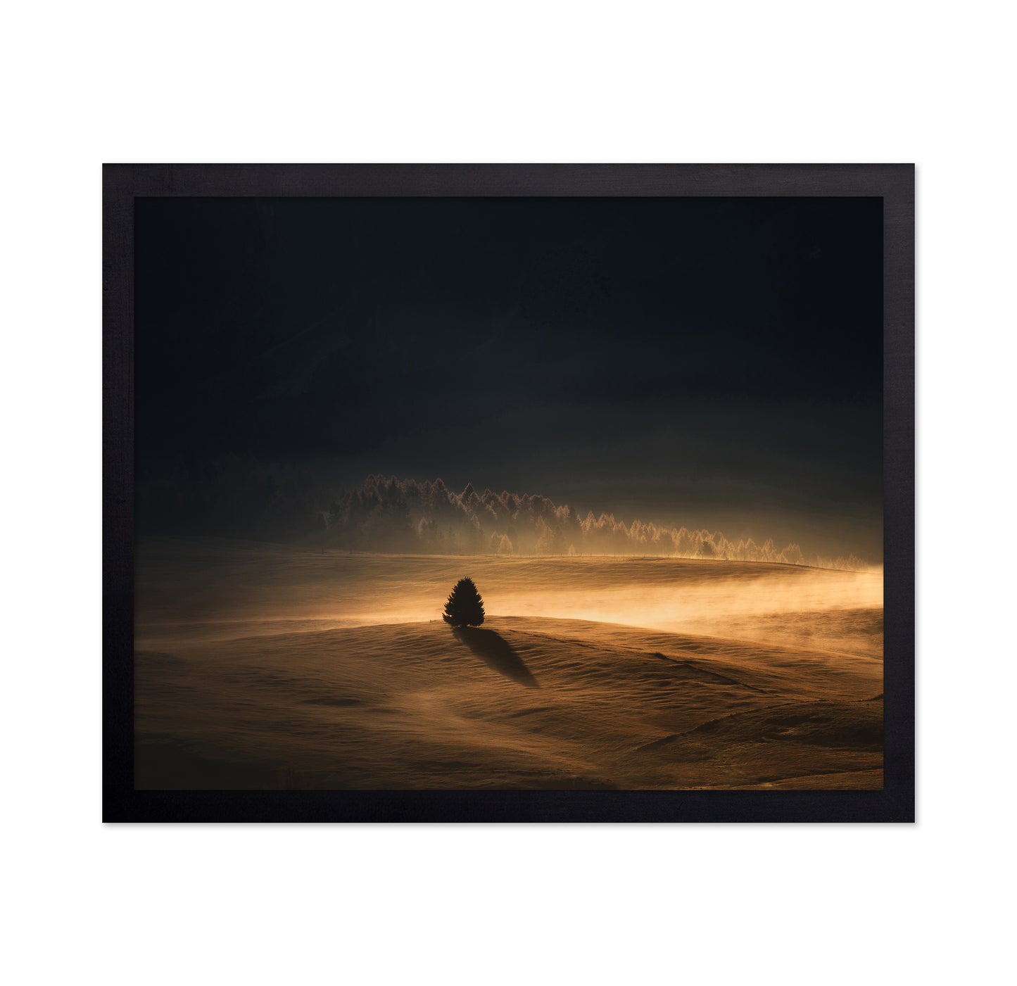 The Lonely Tree