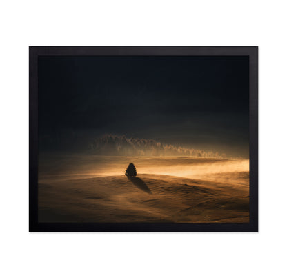 The Lonely Tree