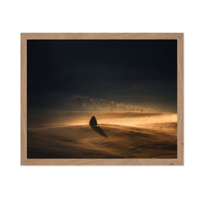 The Lonely Tree