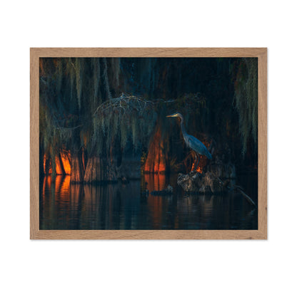 Swamp Scene