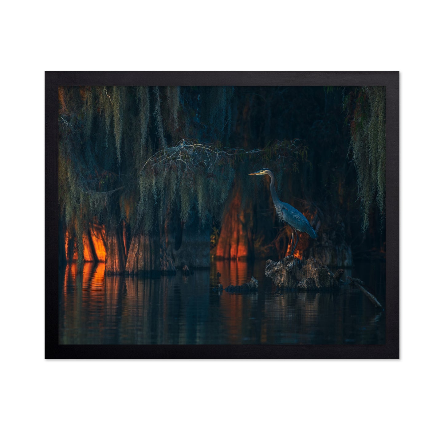 Swamp Scene