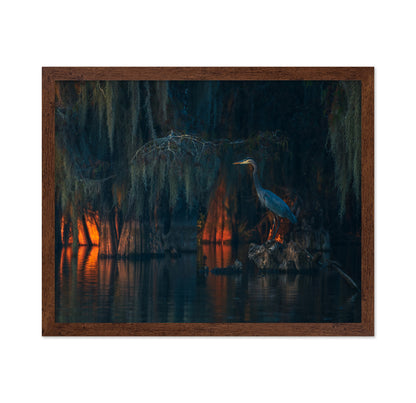 Swamp Scene