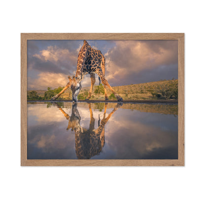 Wild Reflection