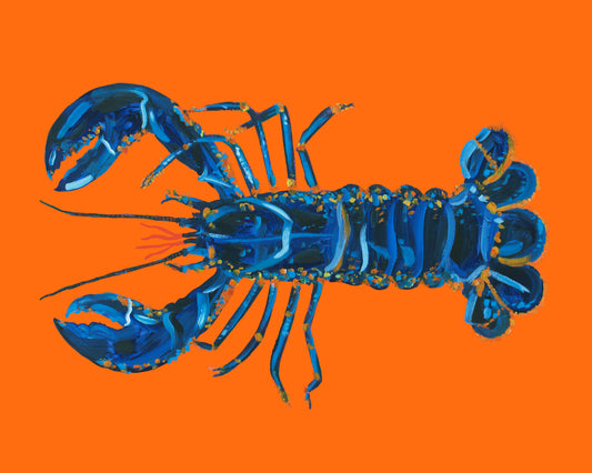 Lobster On Orange