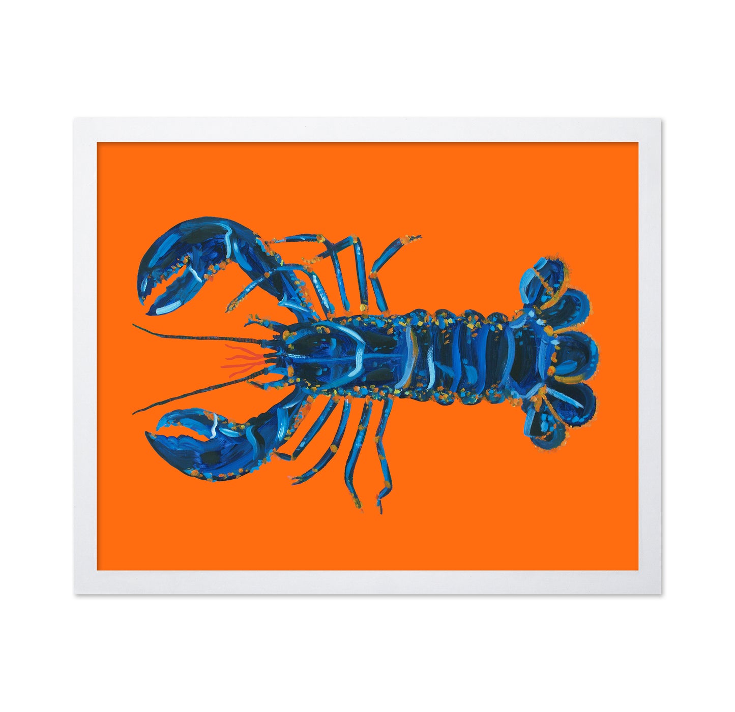 Lobster On Orange