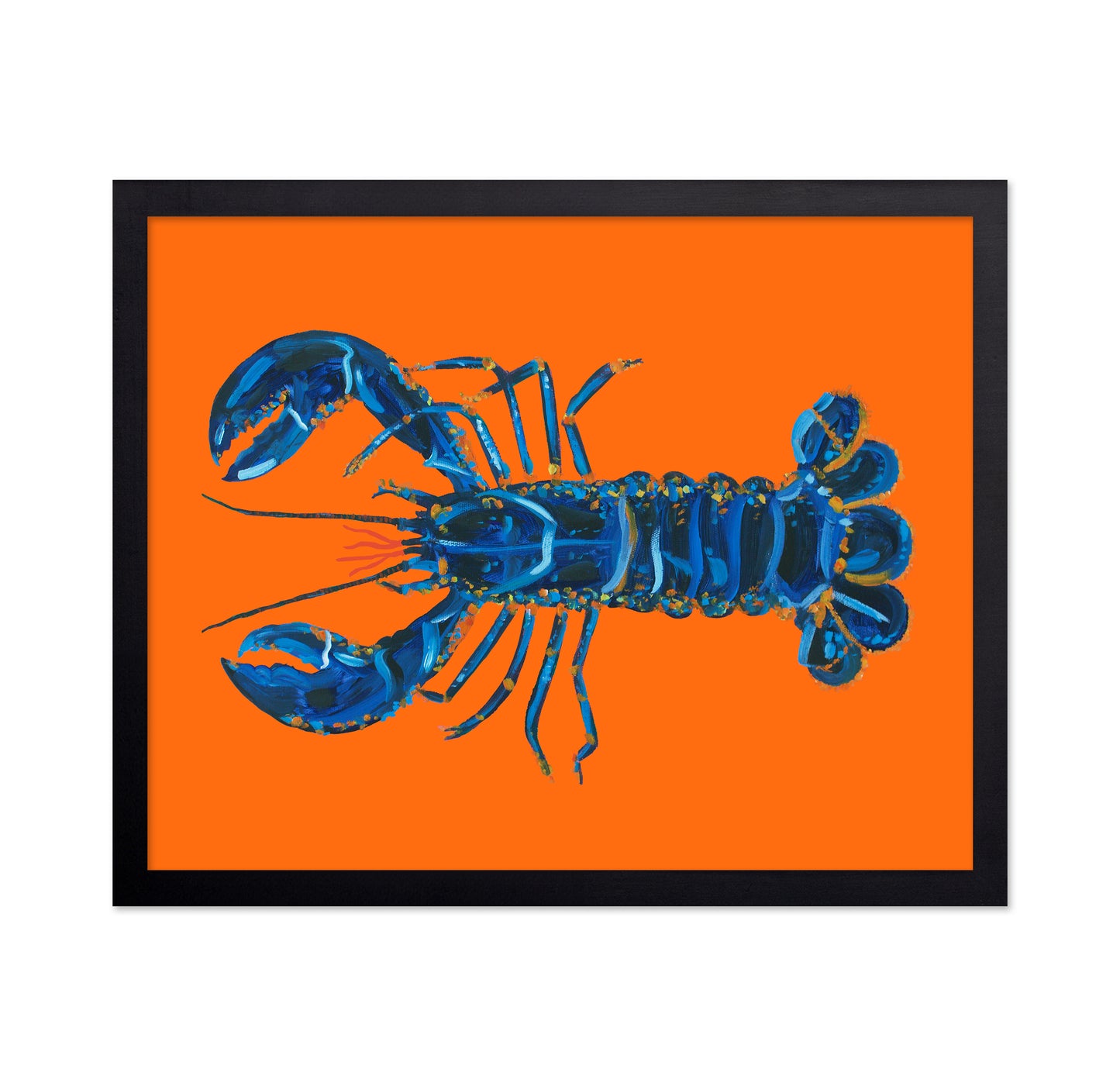 Lobster On Orange