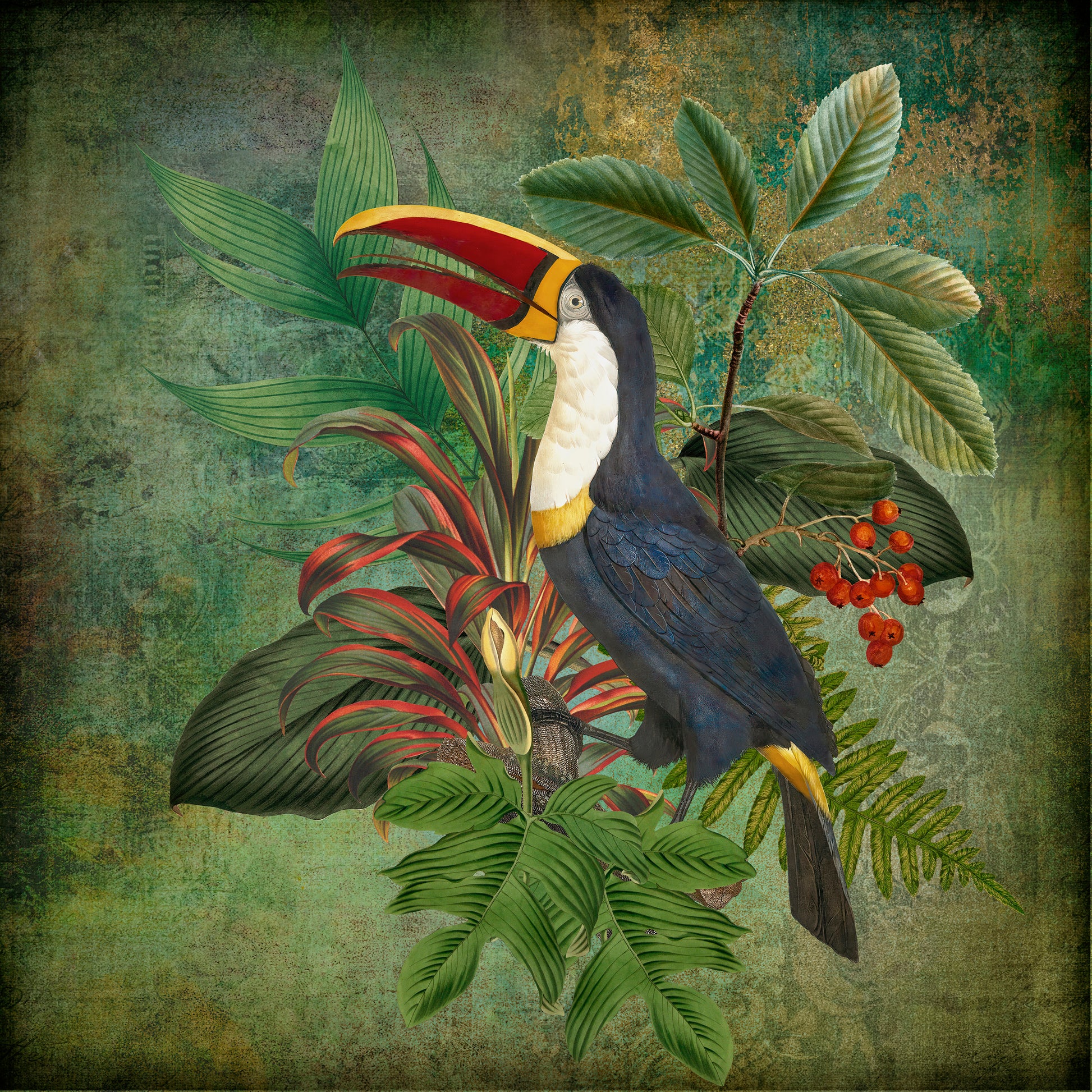 Toucan Collage