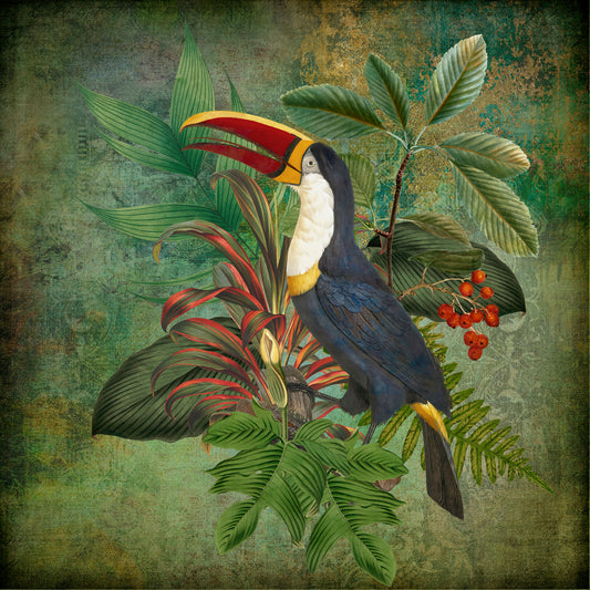 Toucan Collage