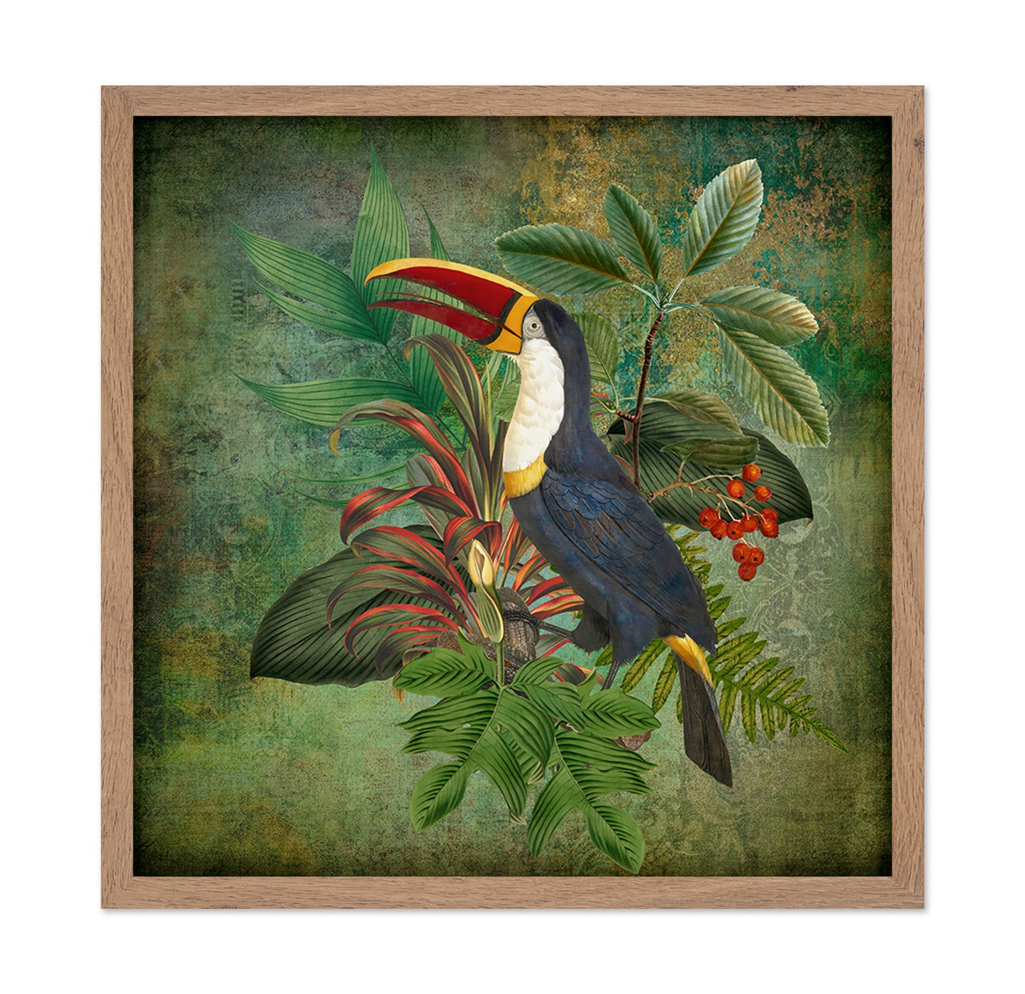 Toucan Collage