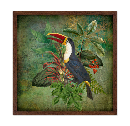Toucan Collage
