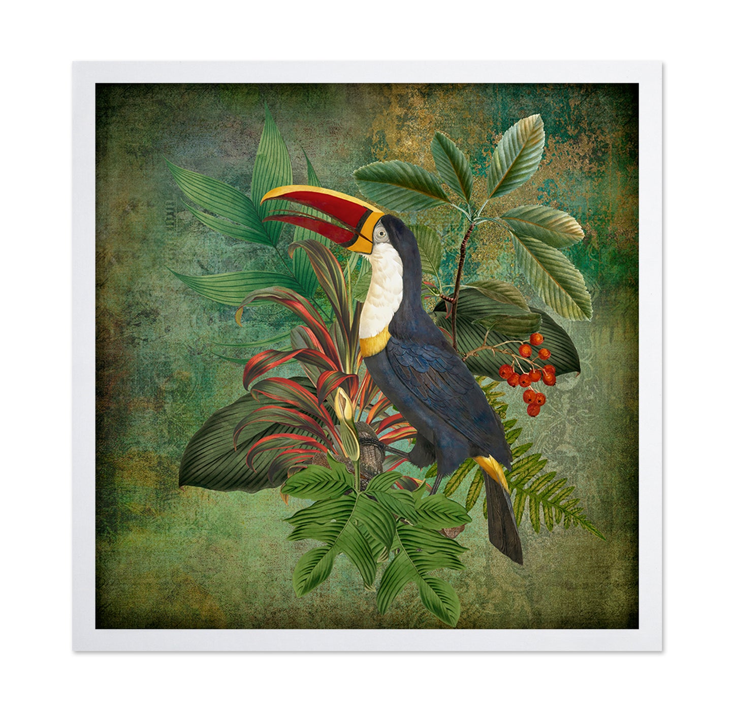Toucan Collage
