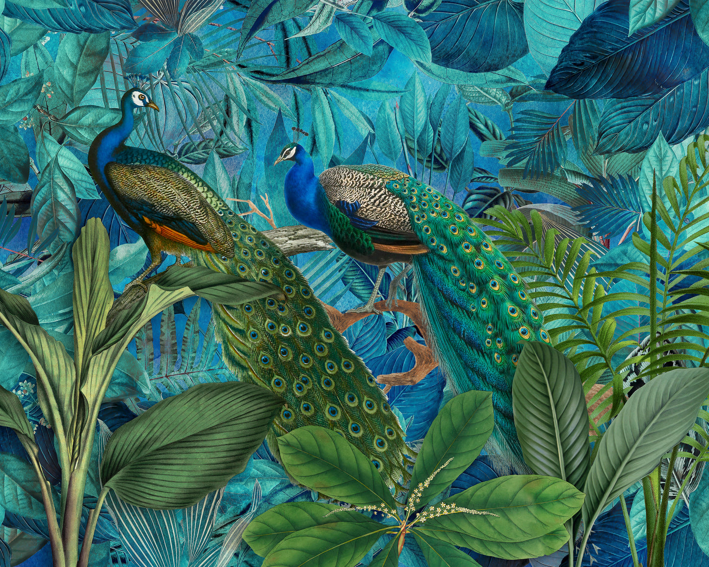 Jungle Birds Garden No 1
