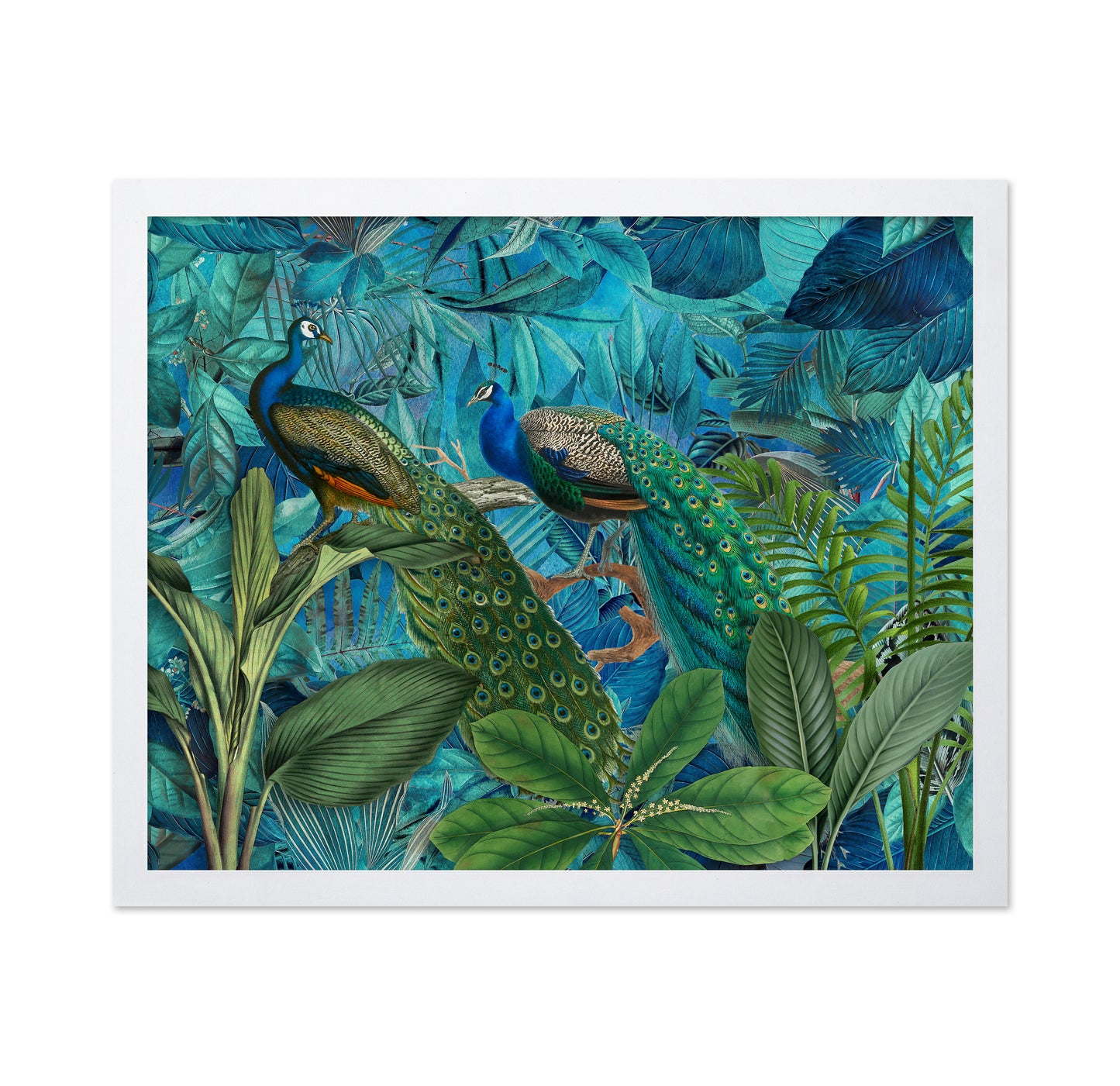 Jungle Birds Garden No 1