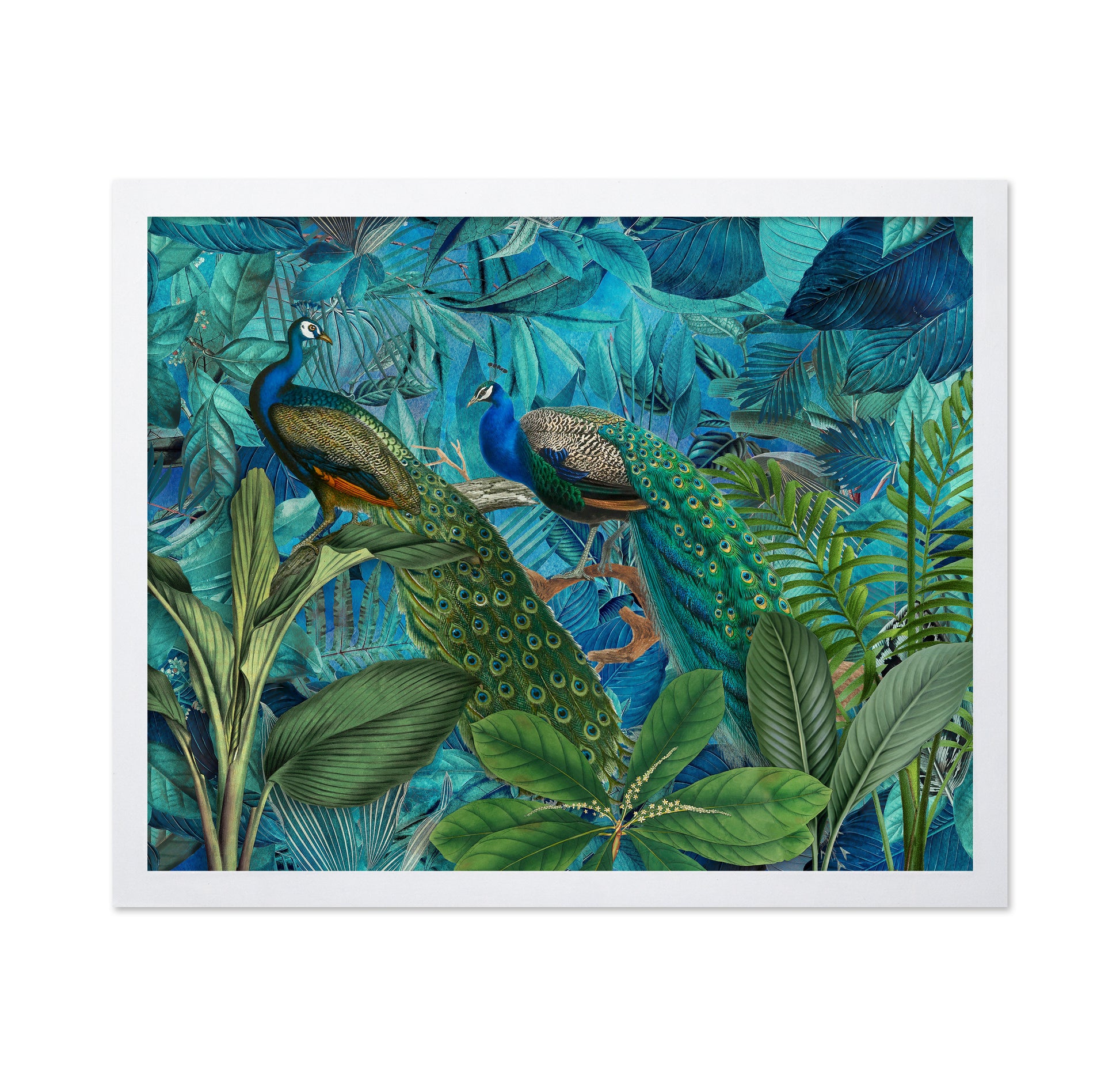 Jungle Birds Garden No 1
