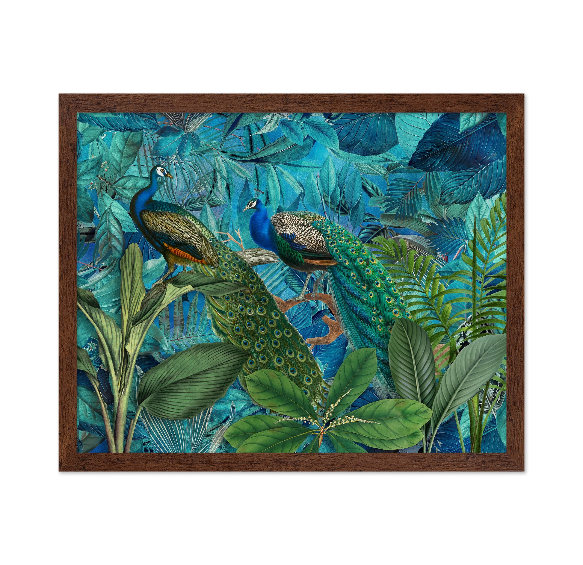 Jungle Birds Garden No 1