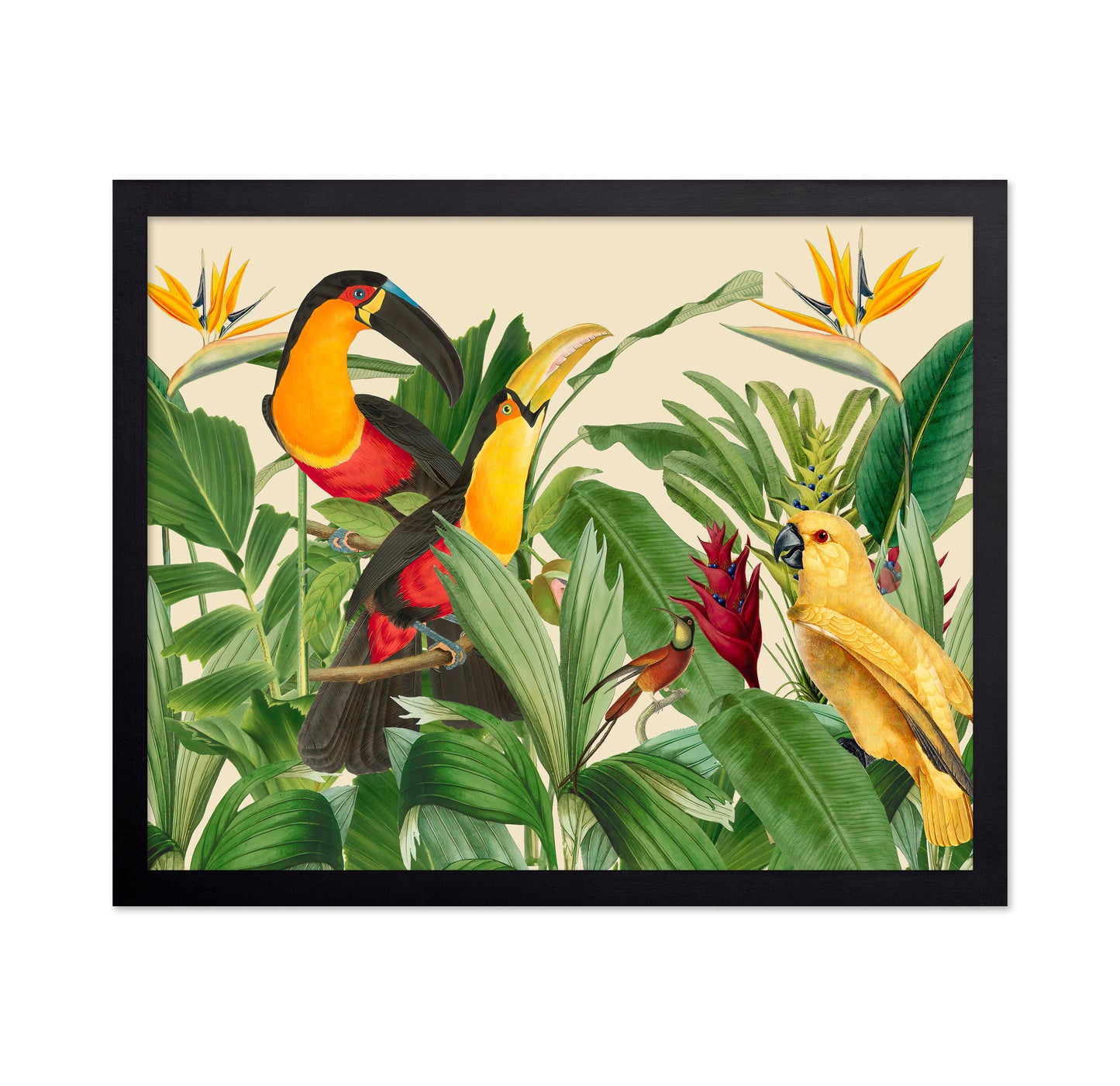 Rain Forest Bird Garden