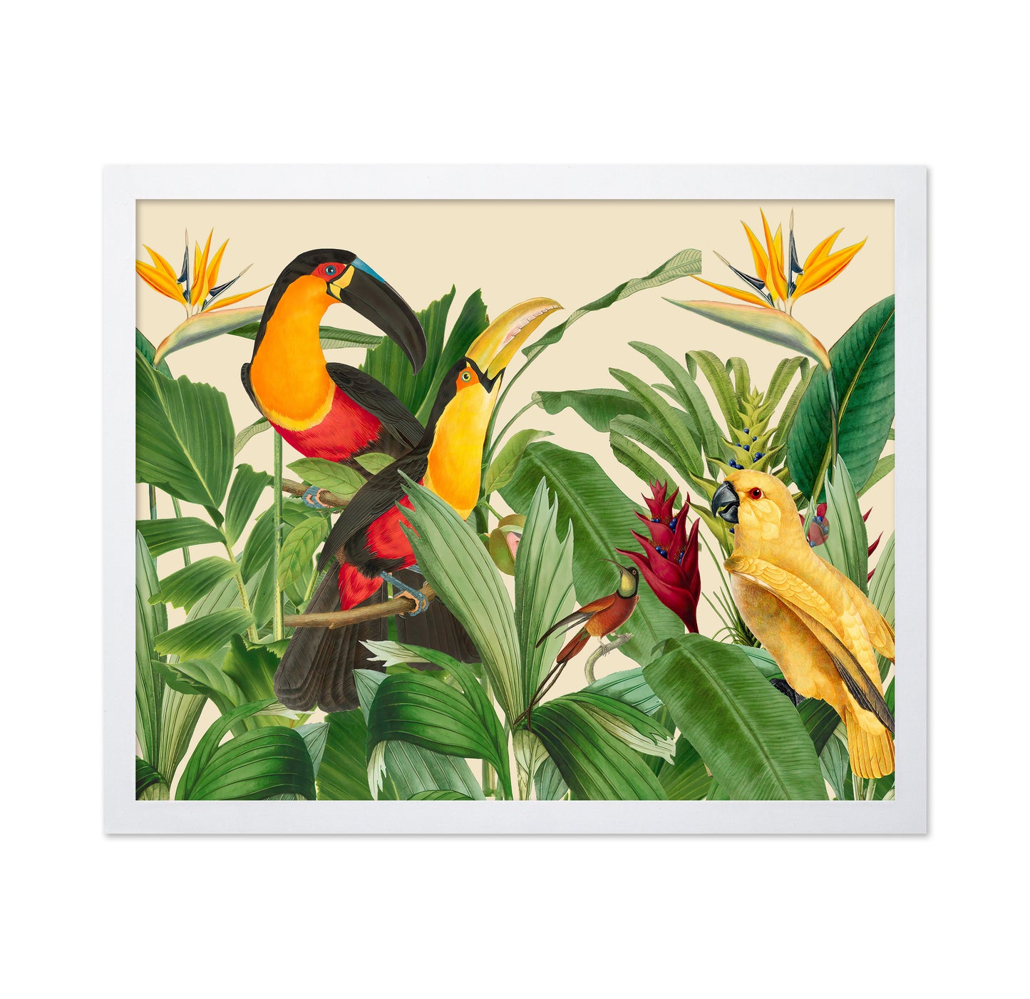 Rain Forest Bird Garden