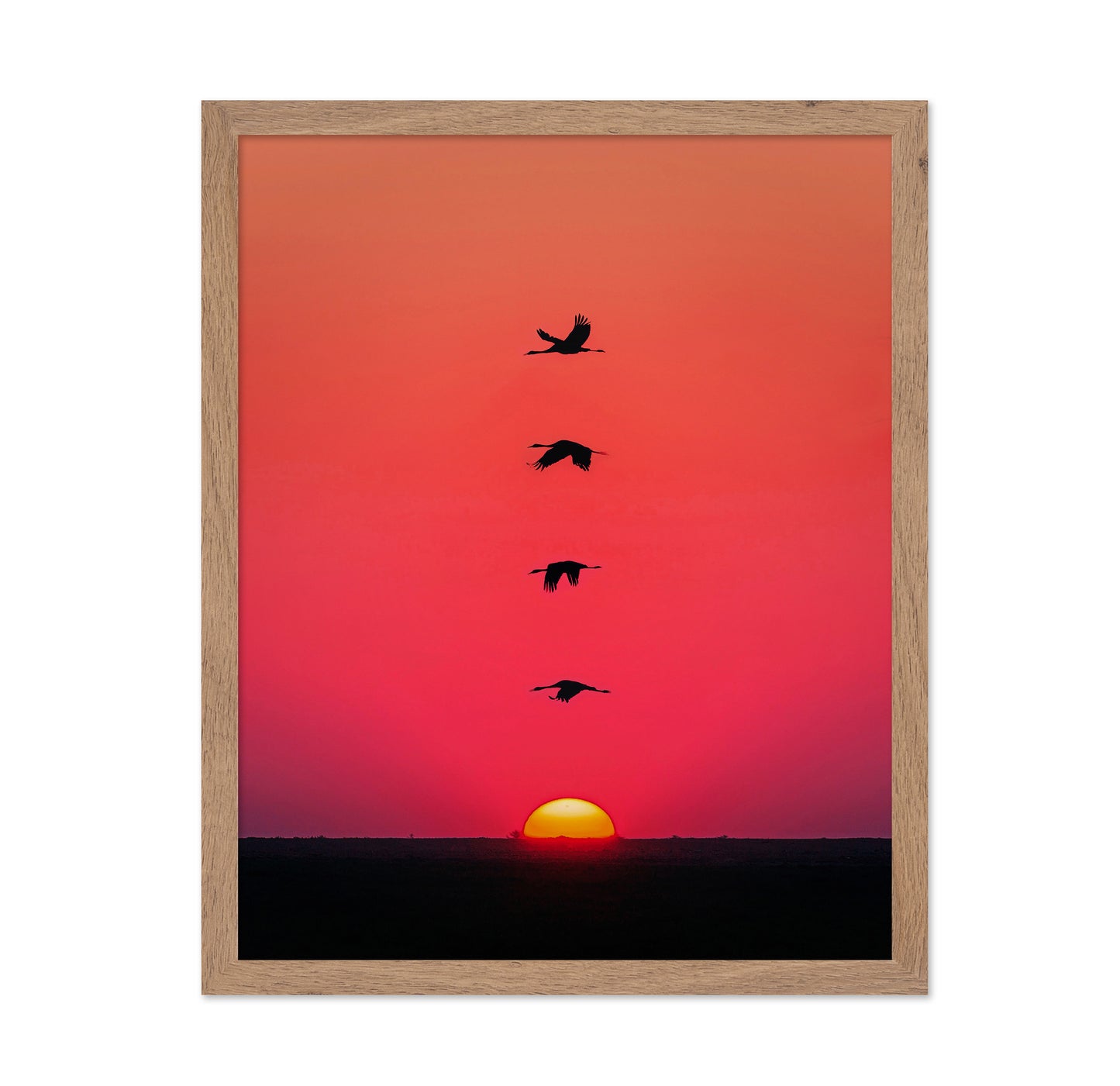 Sunset Birds