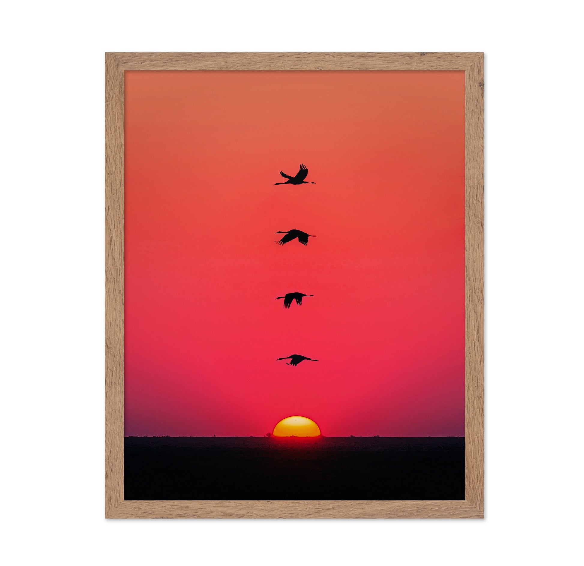 Sunset Birds