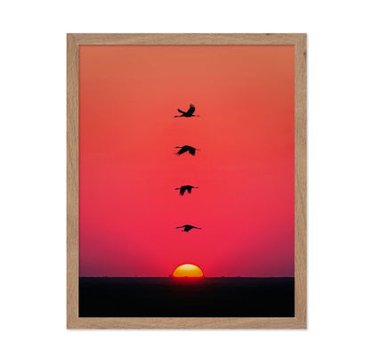 Sunset Birds