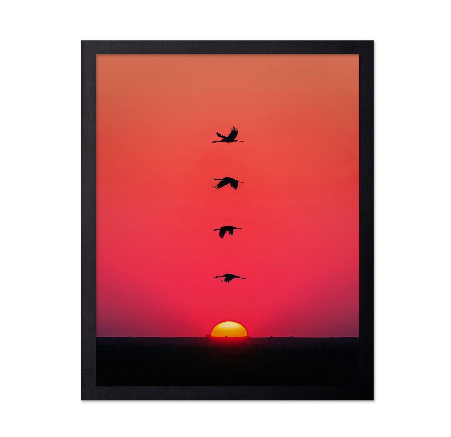 Sunset Birds