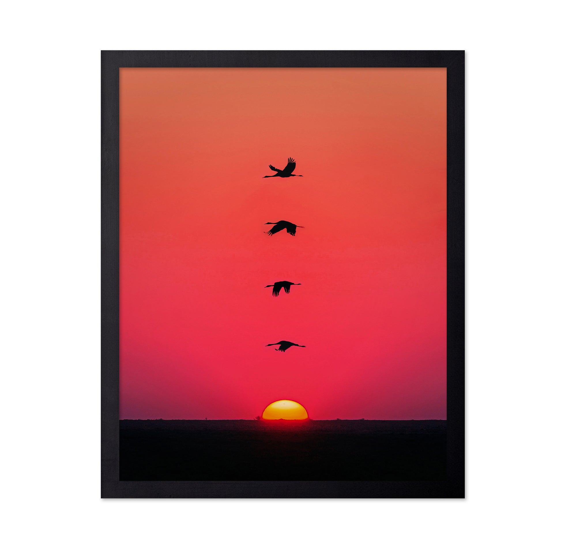 Sunset Birds