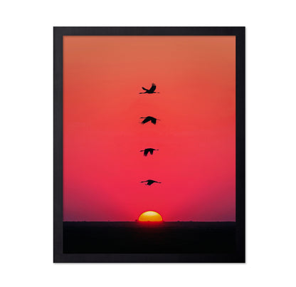 Sunset Birds