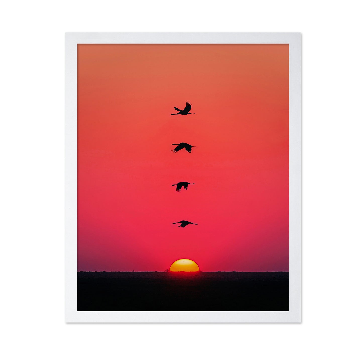 Sunset Birds